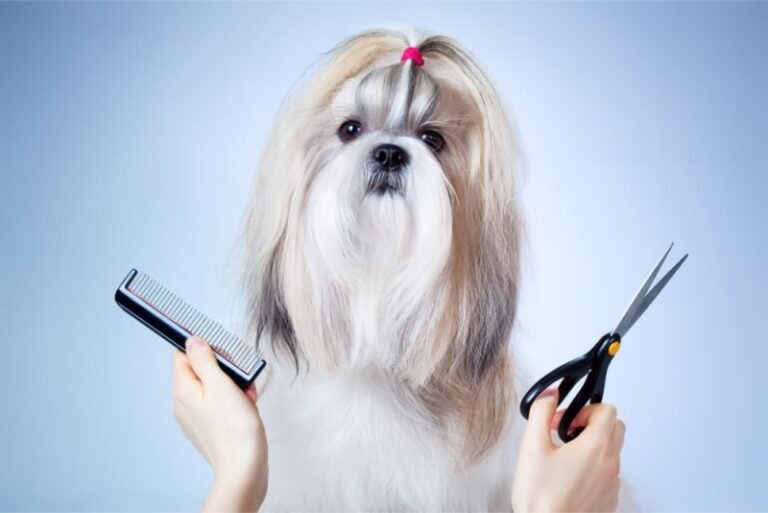 Signs Your Dog Needs More Frequent Grooming