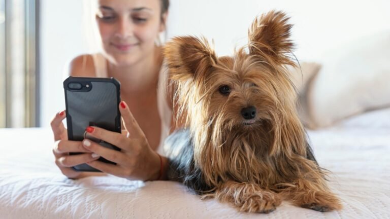Why Mobile Dog Grooming Is Great for Nervous Pets
