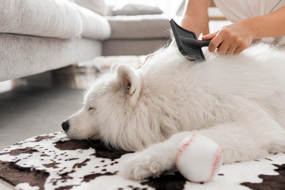 Goldendoodle Grooming Tips for First-Time Owners