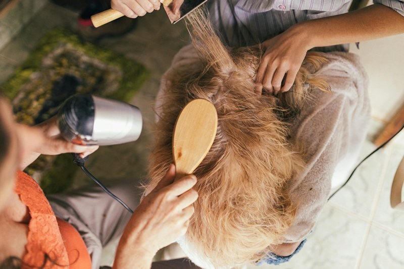 Luxury Mobile Groomer in Cypress TX for Your Dog